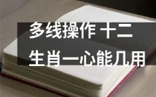 多线操作的重要性:探析如何在使用十二生肖一心时取得最佳效用