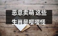 这些恶意卖萌的动物属于“嘤嘤怪”生肖!