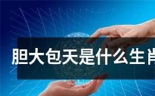 胆大包天的生肖是什么?-探索十二生肖中最勇敢的一类