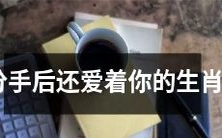 根据星座学说,分手后仍对你念念不忘的生肖特质与解析