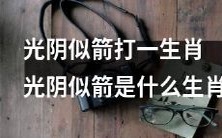 哪种生肖让光阴匆匆地过去?