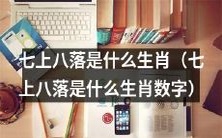 探寻七上八落对应的生肖数字是什么?
