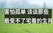 不喜孤独恐慌!深入探讨哪些生肖最难忍受待在家里