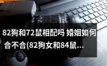 82年狗女和84年鼠男的婚姻匹配度如何?能否相守一生?探究狗和鼠的互补关系及影响因素!