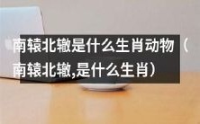 南辕北辙指的是哪种生肖动物呢?