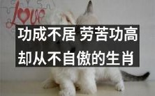 一份温和而不骄傲的生肖:劳苦功高的动物们