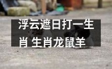 浮云掩盖太阳,猜测三种生肖:龙、鼠、羊