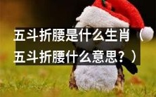 请问五斗折腰是哪个属相?