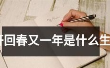 什么生肖会在花开回春的新年迎来又一个轮回?