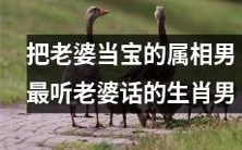 属相男中,以把老婆当宝、最听老婆话著称的生肖男最受崇拜!