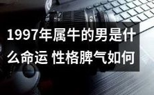 探究1997年属牛男性的命运和性格脾气,以了解他们的特点和表现方式