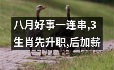 三个生肖走运!今夏不仅升职还加薪,好事连连,让人羡慕!