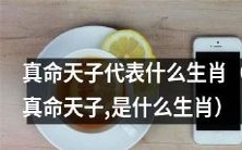 究竟是哪个生肖代表了真命天子呢?