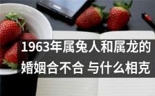 1963年出生的兔和龙属相人的婚姻是否和什么属相相克?