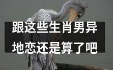 跟这些属相男子异地恋的话,或许可行性不大,不妨放弃?