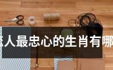 生肖排行:哪些动物是最忠诚的恋人?