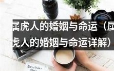 属于虎年生肖的个体婚姻状况及与命运的关系深入解析