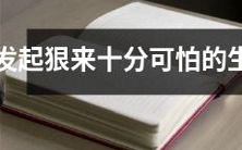 以狠厉著称的生肖,表现出极其可怕的本性