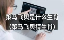 猜猜看,策马飞舆的是哪个生肖?
