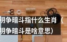 生肖之中,哪些动物代表着明争暗斗的意味?