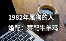 1982年出生并属狗的人的婚配指南:不适宜与牛、羊和鸡联姻