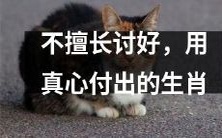 不擅长讨好,凭借真心付出的十二生肖排名及特点分析