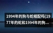 这个头是一个考虑穿越时间的命题:1977年的蛇是否能和1994年的狗搭配起来?