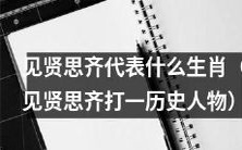 以“见贤思齐”为暗示,推测其代表哪个生肖?或者说,将“见贤思齐”转换成一个历史人物的名字是谁?