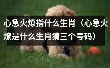 猜猜心急火燎的生肖是啥,能否顺带猜出其对应的三个数字呢?