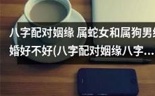 属蛇女和属狗男的八字配对姻缘是否理想?探究八字合婚对于这对關係的影響
