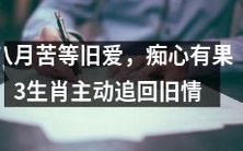 八月经历苦等旧爱,痴心不改,终于追回旧情的3个生肖主动出击