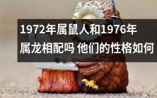 1972年出生的属鼠人和1976年出生的属龙人是否具有相容性?分析两者的个性特质