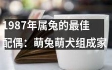 里,共叙爱恋和谐生活的美妙情缘