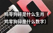 鸡零狗碎作为何种生肖/数字存在?