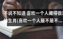 探秘藏得极深且含蓄难懂的生肖,揭开喜欢一个人时语言上的尴尬之谜