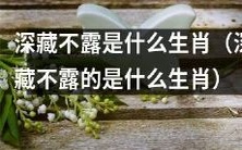 你知道哪一个生肖是深藏不露的吗?