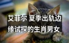 夏季出轨边缘试探下的生肖男女:艾菲尔的故事