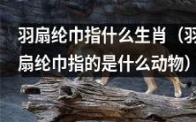 究竟是哪只动物被称为羽扇纶巾?——解密羽扇纶巾指代的生肖
