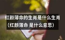 哪个生肖被称为“红颜薄命” ── 解读“红颜薄命”这一称谓的含义