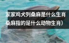 家家鸡犬列桑麻,是哪种动物属于桑麻生肖?