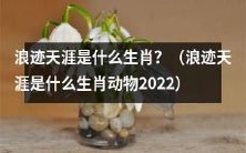 2022年你知道浪迹天涯代表哪个生肖动物吗?