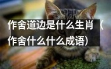 在道边作舍的时候,你是否知道自己属于哪个生肖呢?