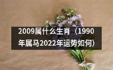 解密2009年的生肖是什么,同时揭晓马年生肖2022年的运势如何