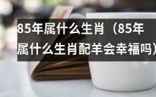 探究85年出生者的属相,并探讨与羊配对的幸福程度