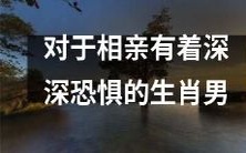 生肖男:那些对于相亲深感恐惧、焦虑和困惑的人们