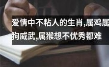 在爱情中不过分依赖伴侣的生肖,独立自主的属鸡和属狗显得更加强大,而属猴即便不想成为优秀者也难以做到