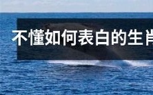 十二生肖中谁不知如何向心仪的人表达爱意?