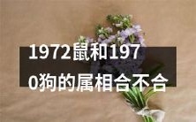 请问1972年出生的鼠和1970年出生的狗,属相相合程度如何?