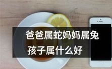如果父亲是蛇,母亲是兔,那么他们的孩子应该属于哪种属相呢?