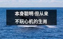 十二生肖中自带聪明却从不策略变通的动物大全